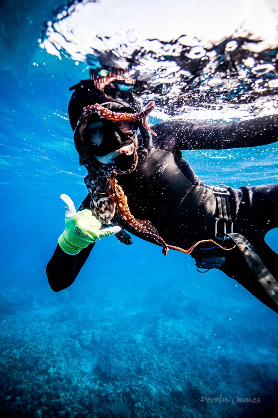 Molly snorkeling in a wetsuit and giving a thumbs up in clear blue water